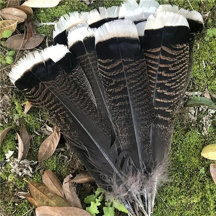 Turkey Tail Feathers - White Tips Hat Accessory