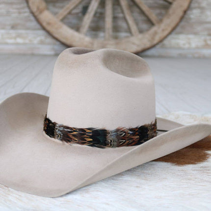 Western Feather Shea Hat Band