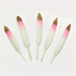 Gold Tipped Feather - Pink and Blue