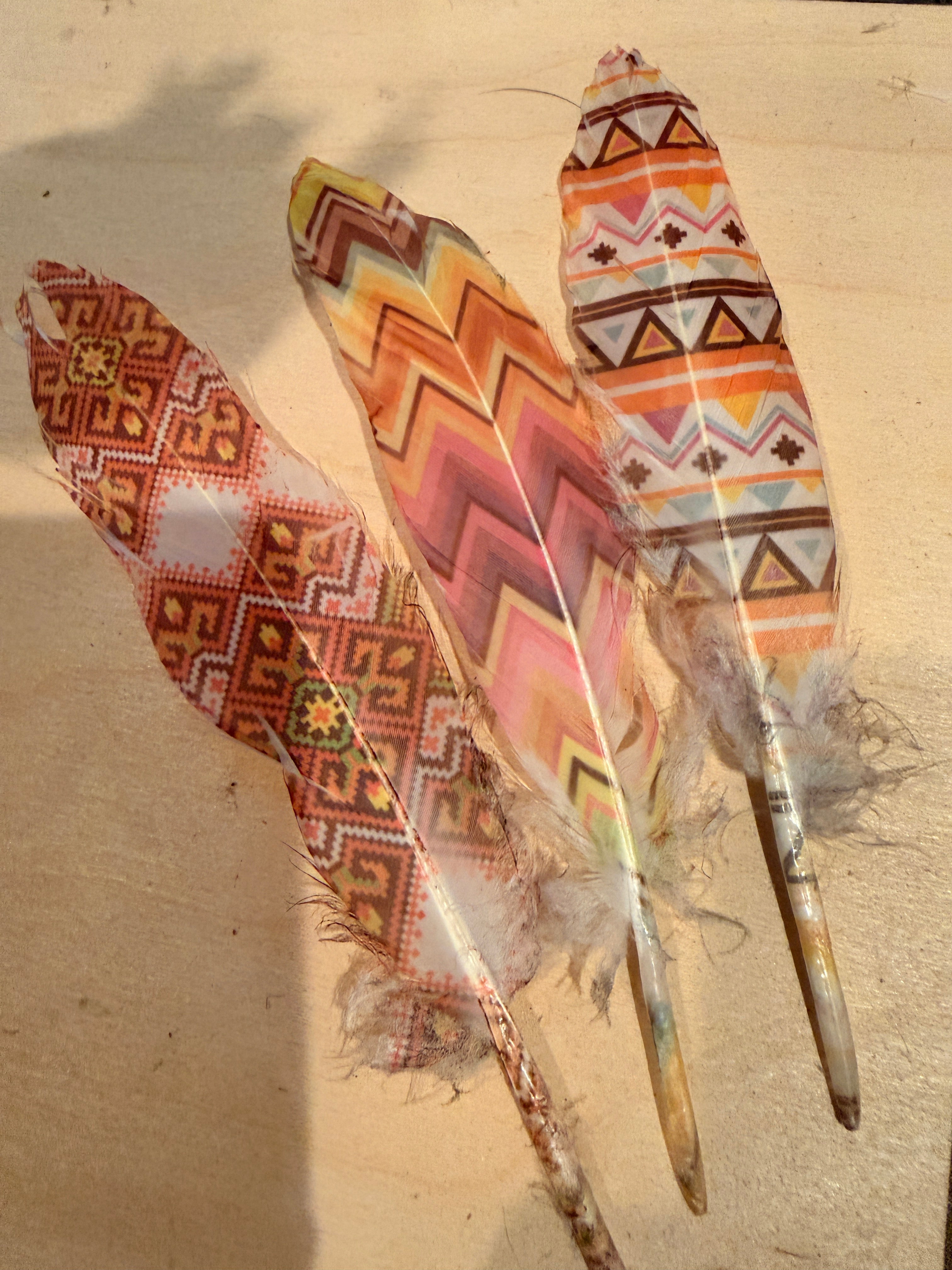 Natural & Printed Feathers - Hat Accessory