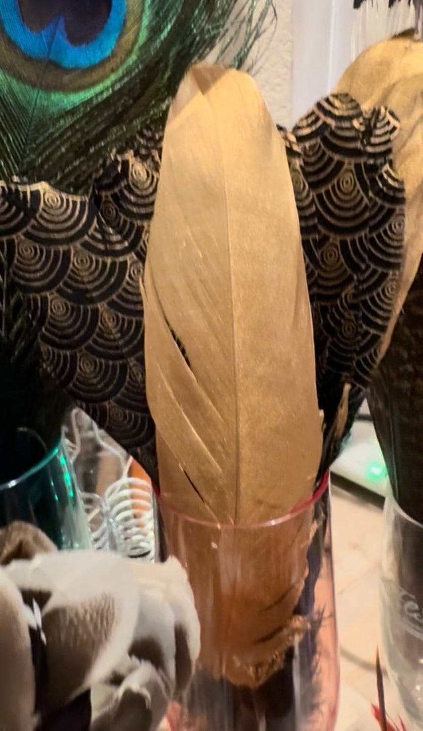 Natural & Printed Feathers - Hat Accessory