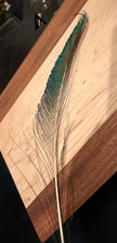 Vibrant Peacock Sword Feather - Blue & Green