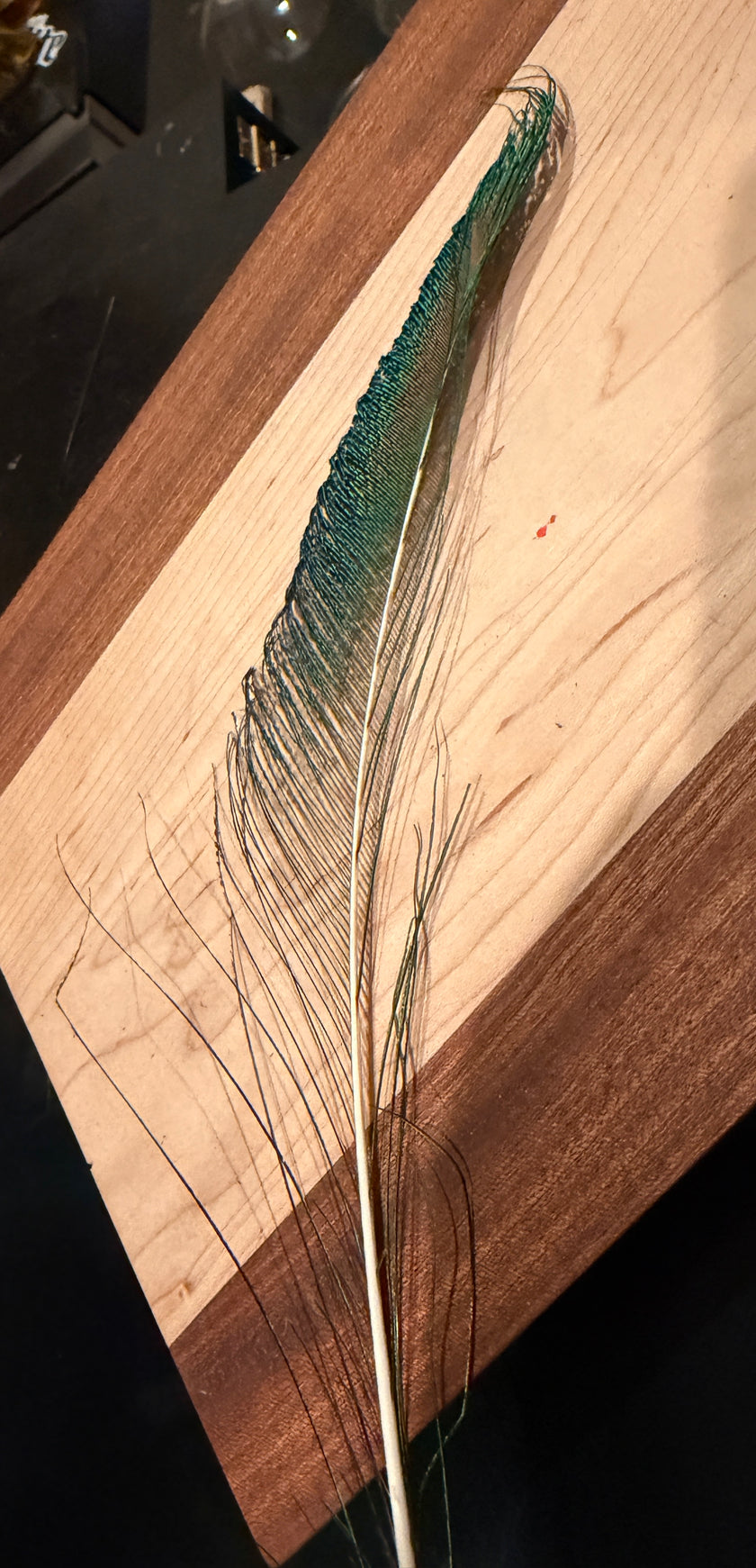 Vibrant Peacock Sword Feather - Blue & Green
