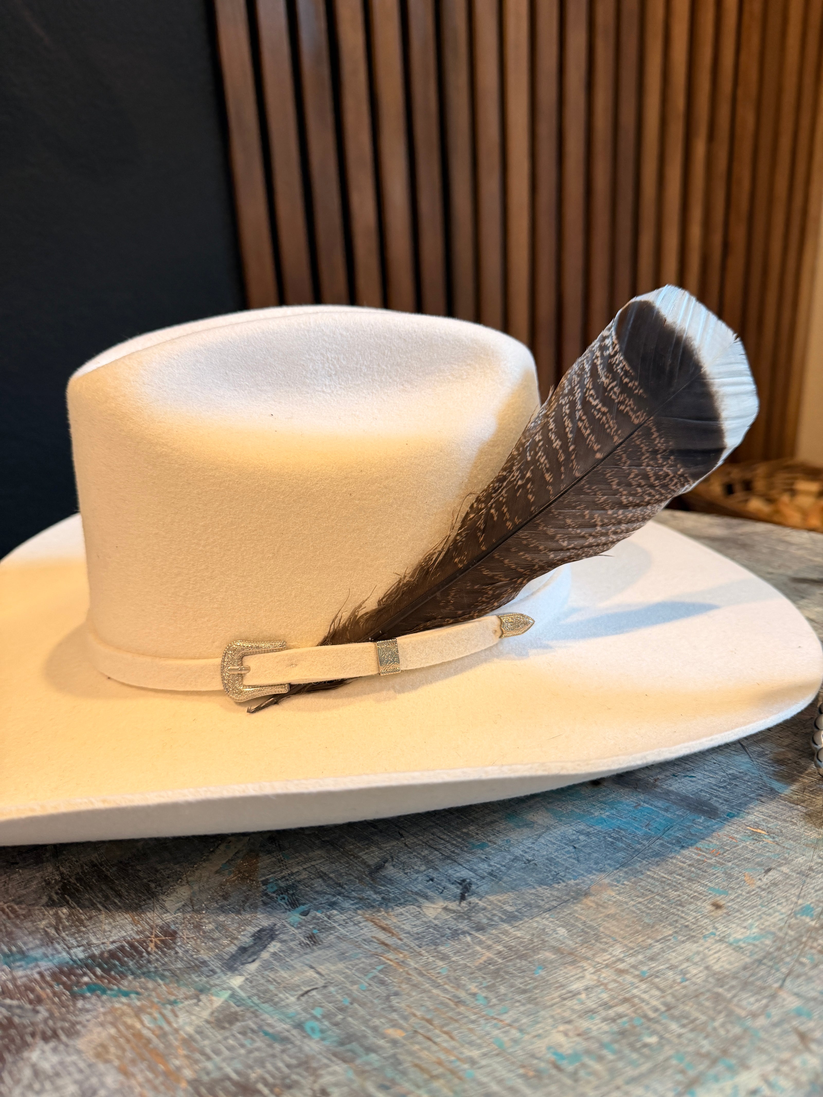 Turkey Tail Feather for hats - Two Feathers included