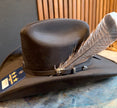 Turkey Tail Feather for hats - Two Feathers included