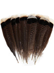 Turkey Tail Feather for hats - Two Feathers included