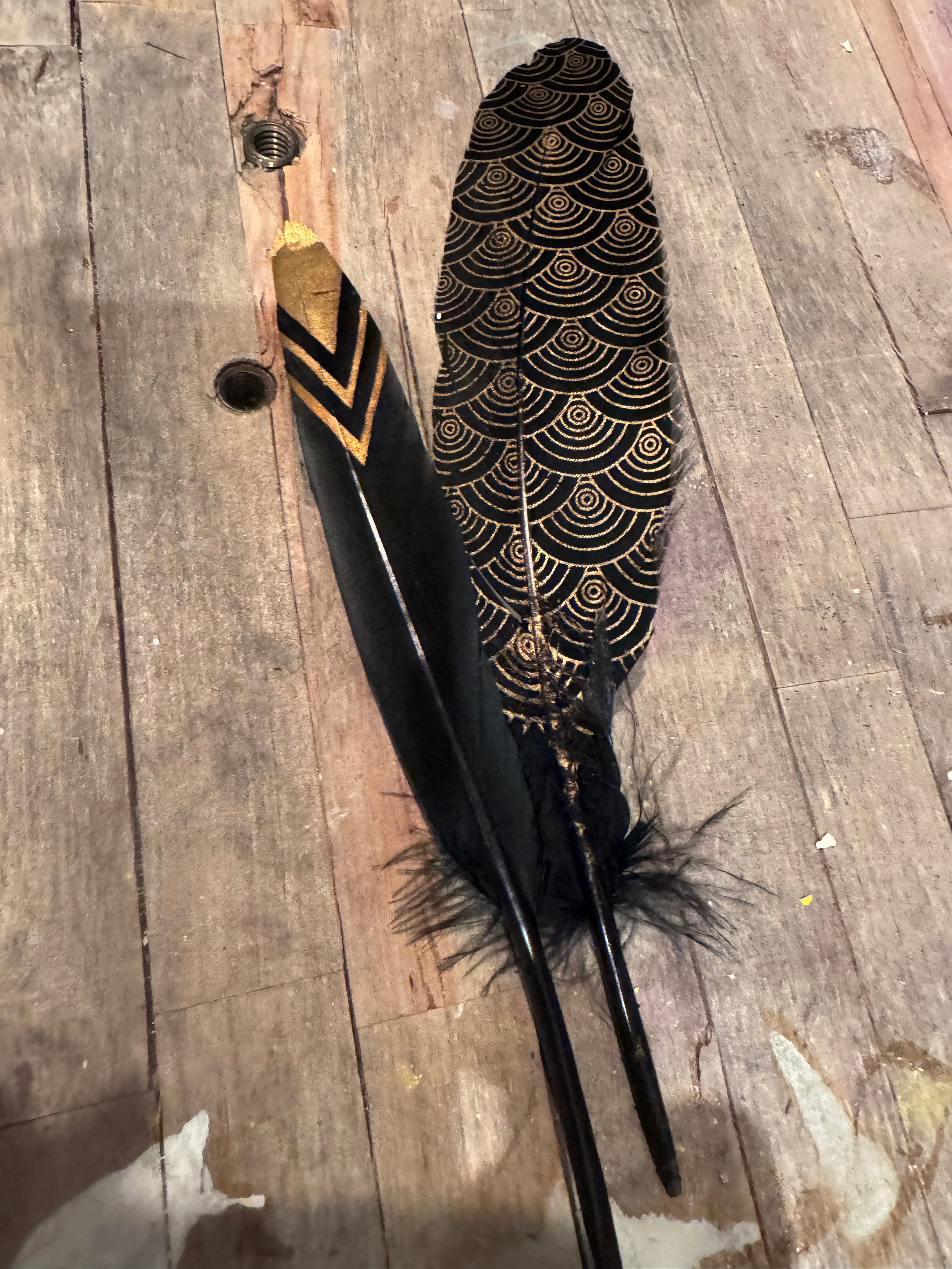 Natural & Printed Feathers - Hat Accessory