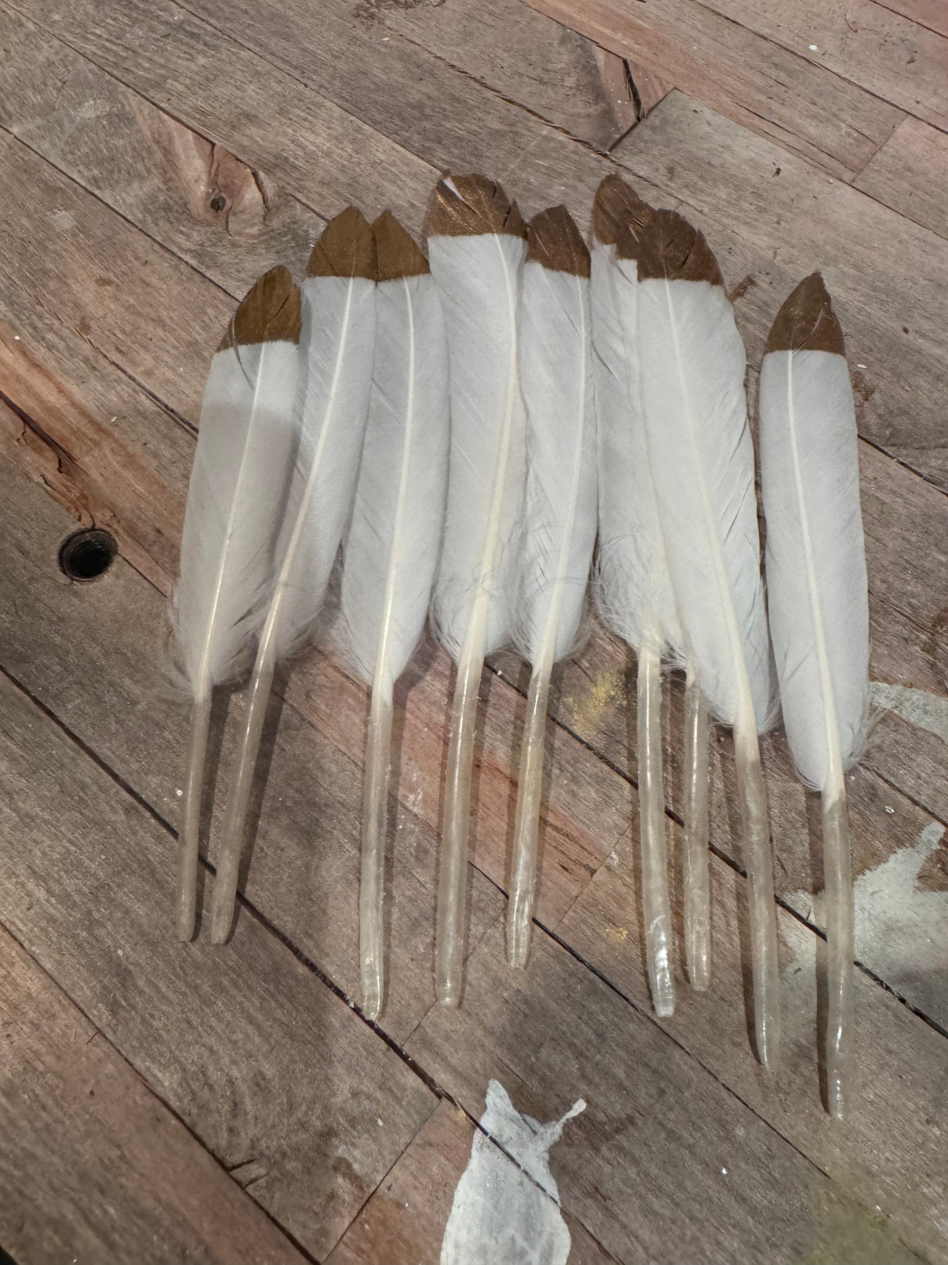 Natural & Printed Feathers - Hat Accessory