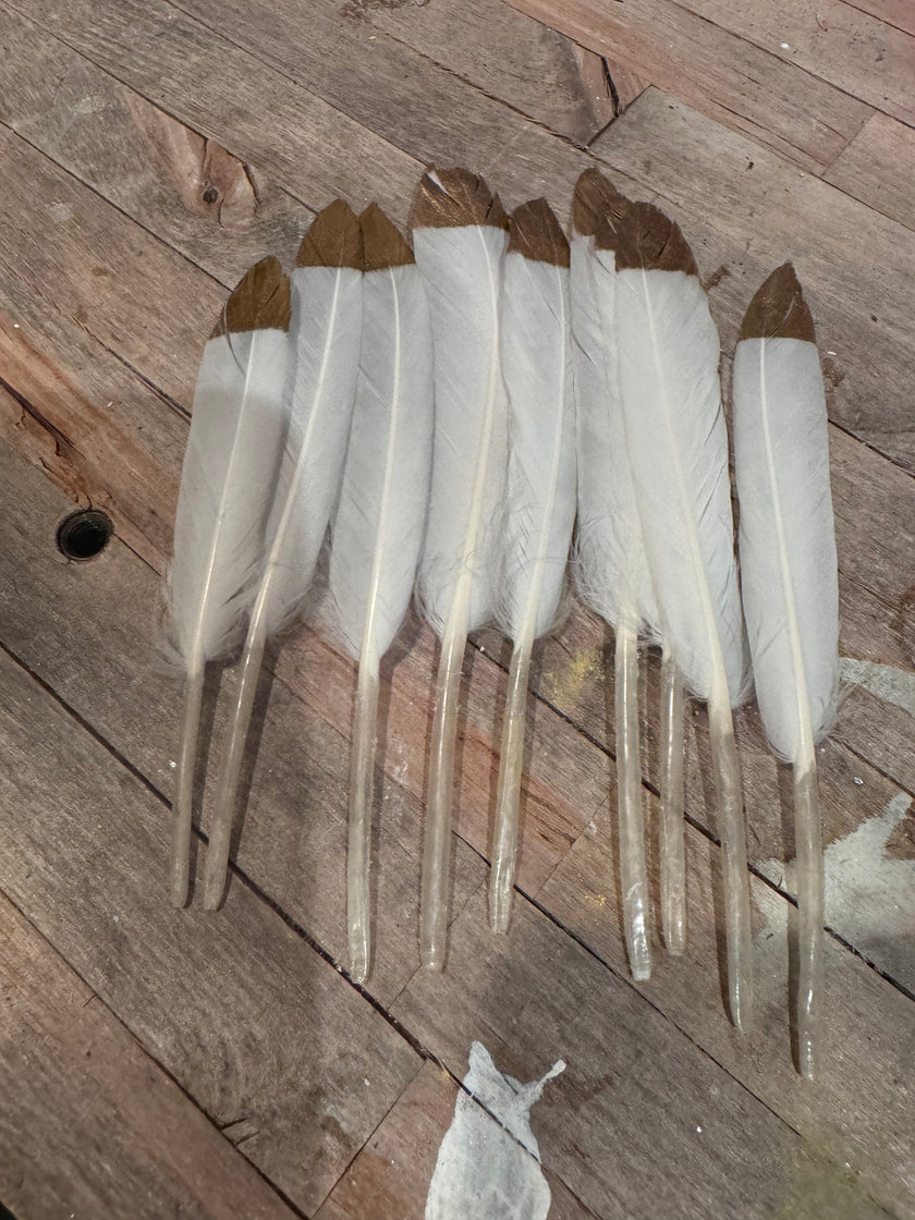 Natural & Printed Feathers - Hat Accessory