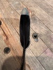 Natural & Printed Feathers - Hat Accessory
