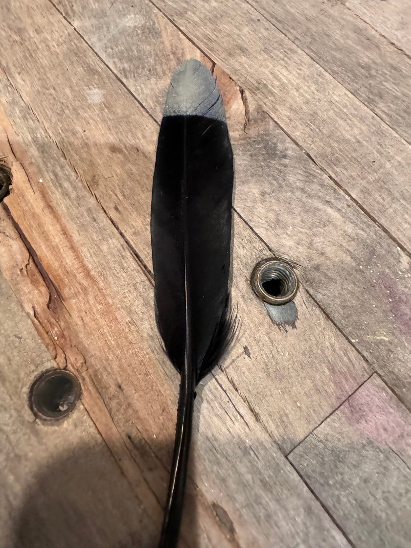 Natural & Printed Feathers - Hat Accessory