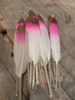 Natural & Printed Feathers - Hat Accessory