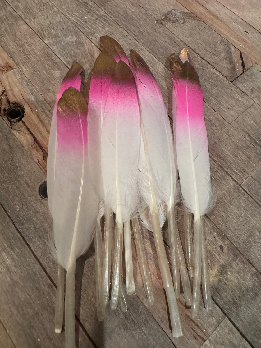 Natural & Printed Feathers - Hat Accessory