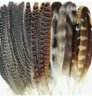 2 Pcs - Natural Pheasant Feathers