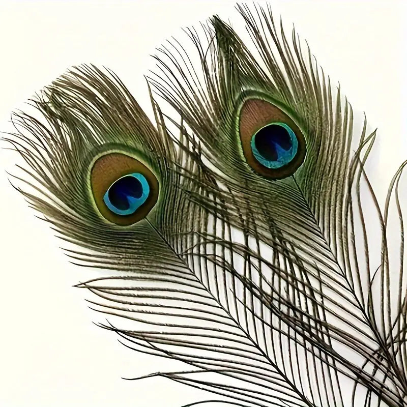 Peacock Feathers - Blue, Green, Gold